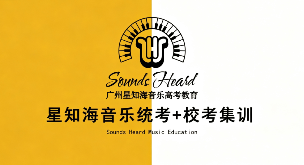 星知海音乐统考+校考集训